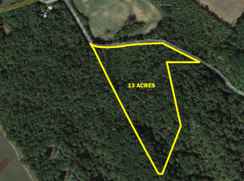 ABSOLUTE ON-LINE ONLY AUCTION - 13.08 Acres in Greene County, TN