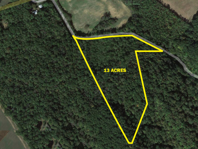 ABSOLUTE ON-LINE ONLY AUCTION - 13.08 Acres in Greene County, TN