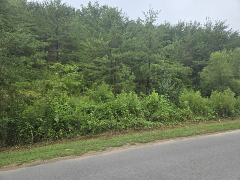 REAL ESTATE ONLINE ONLY ABSOLUTE AUCTION: LOT IN LAKE NORRIS LANDING
