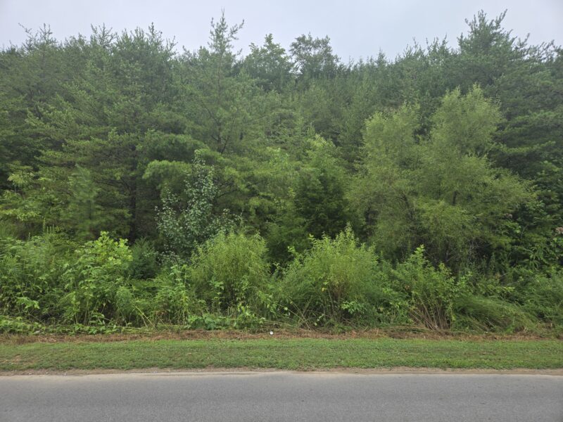 REAL ESTATE ONLINE ONLY ABSOLUTE AUCTION: LOT IN LAKE NORRIS LANDING