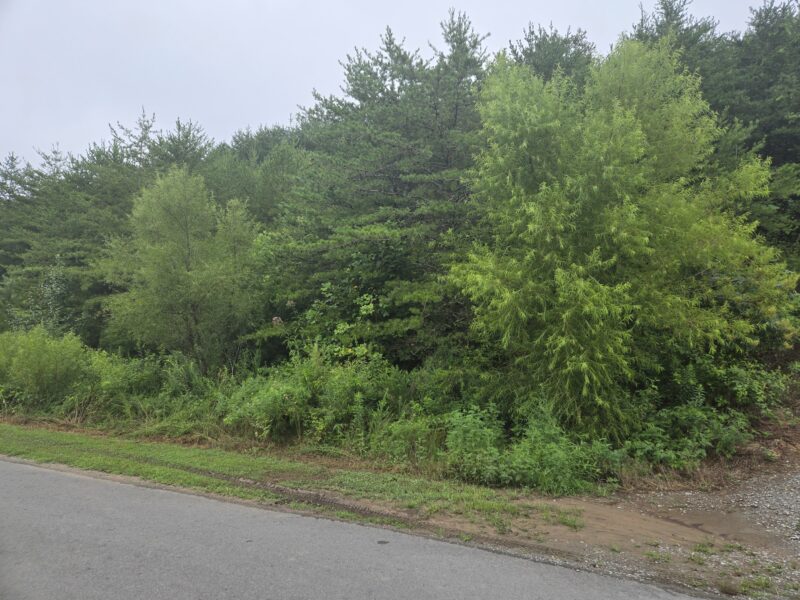 REAL ESTATE ONLINE ONLY ABSOLUTE AUCTION: LOT IN LAKE NORRIS LANDING