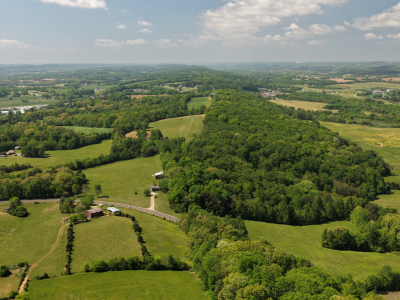 LIVE & ONLINE ABSOLUTE REAL ESTATE AUCTION: 43+ Acres Land in Sweetwater, TN - selling on behalf of the heirs of Glynn "Popeye" Miller. To be sold to the highest bidder without minimum or reservation